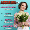 SUPER PROMO